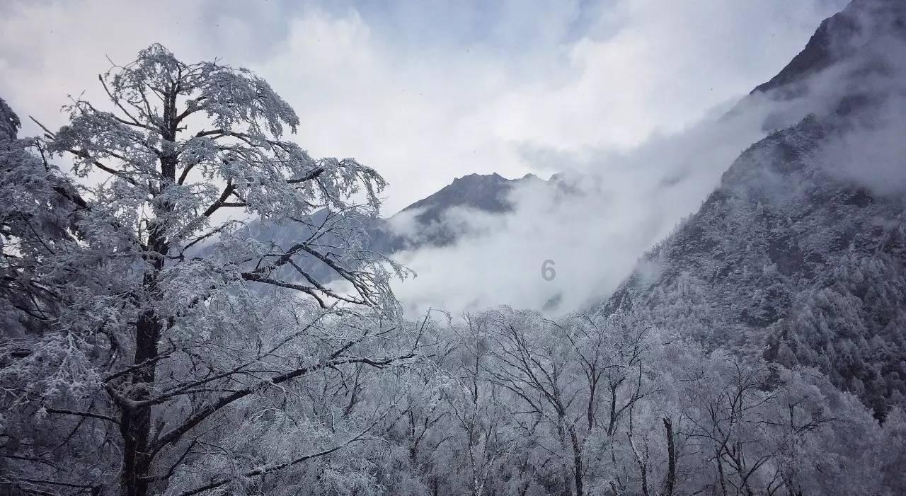 探索CBA获得常规赛MVP最多的是谁?,开启知识星球之旅