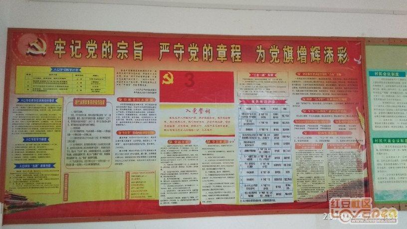 两会观察|窗口排长队、自助不会用? 委员献策为政务服务便民化支招儿