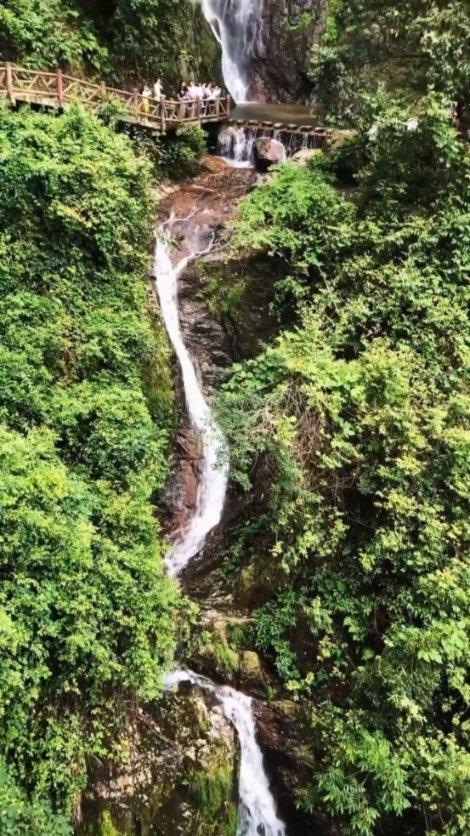 春雨直播app