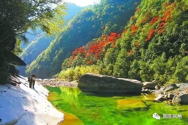 全民剧本大师内置菜单