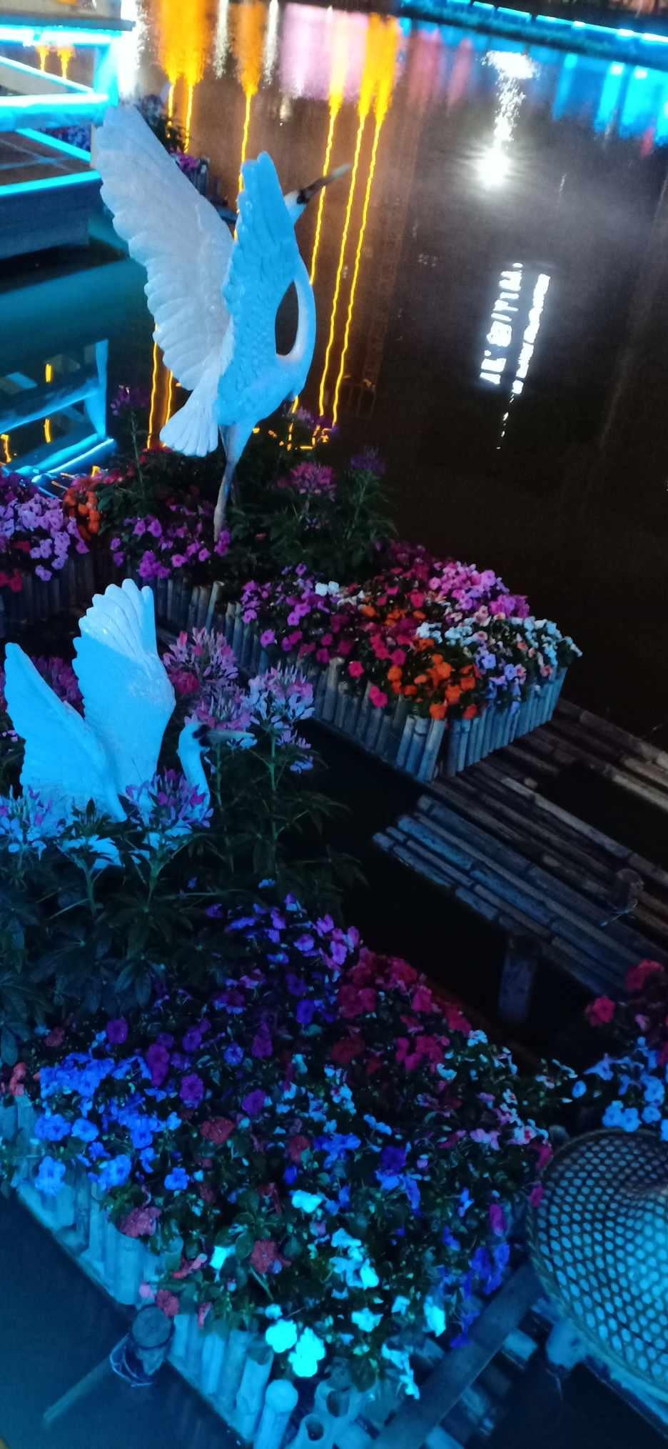 拯救迷路魔术男孩